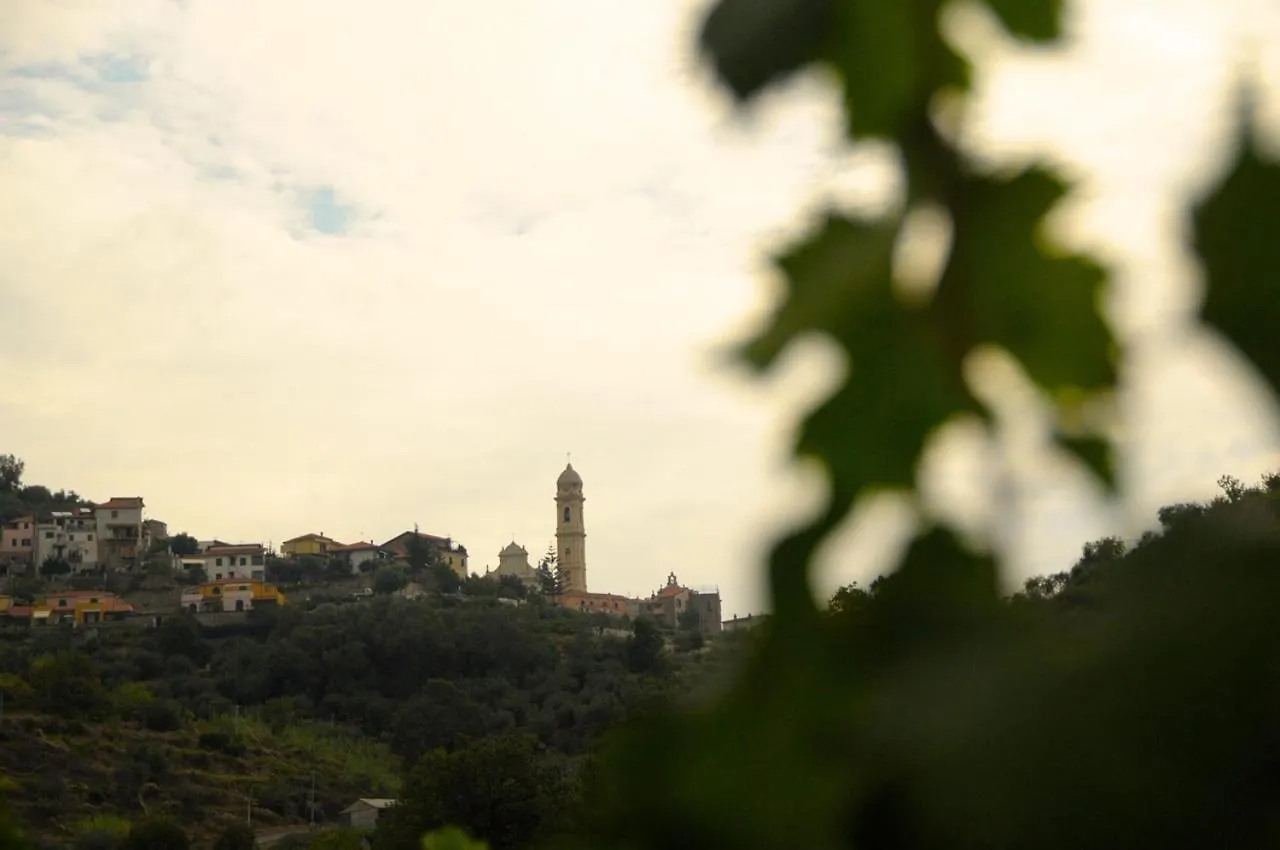 La casa del Podere Castellaro  Appartamento Castellaro (Liguria)