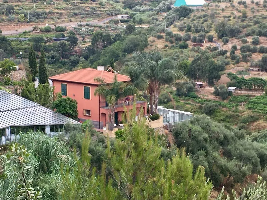 La casa del Podere Castellaro  Castellaro (Liguria)